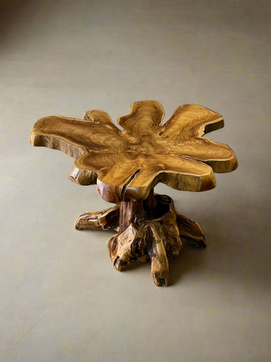 Free form wood coffee table