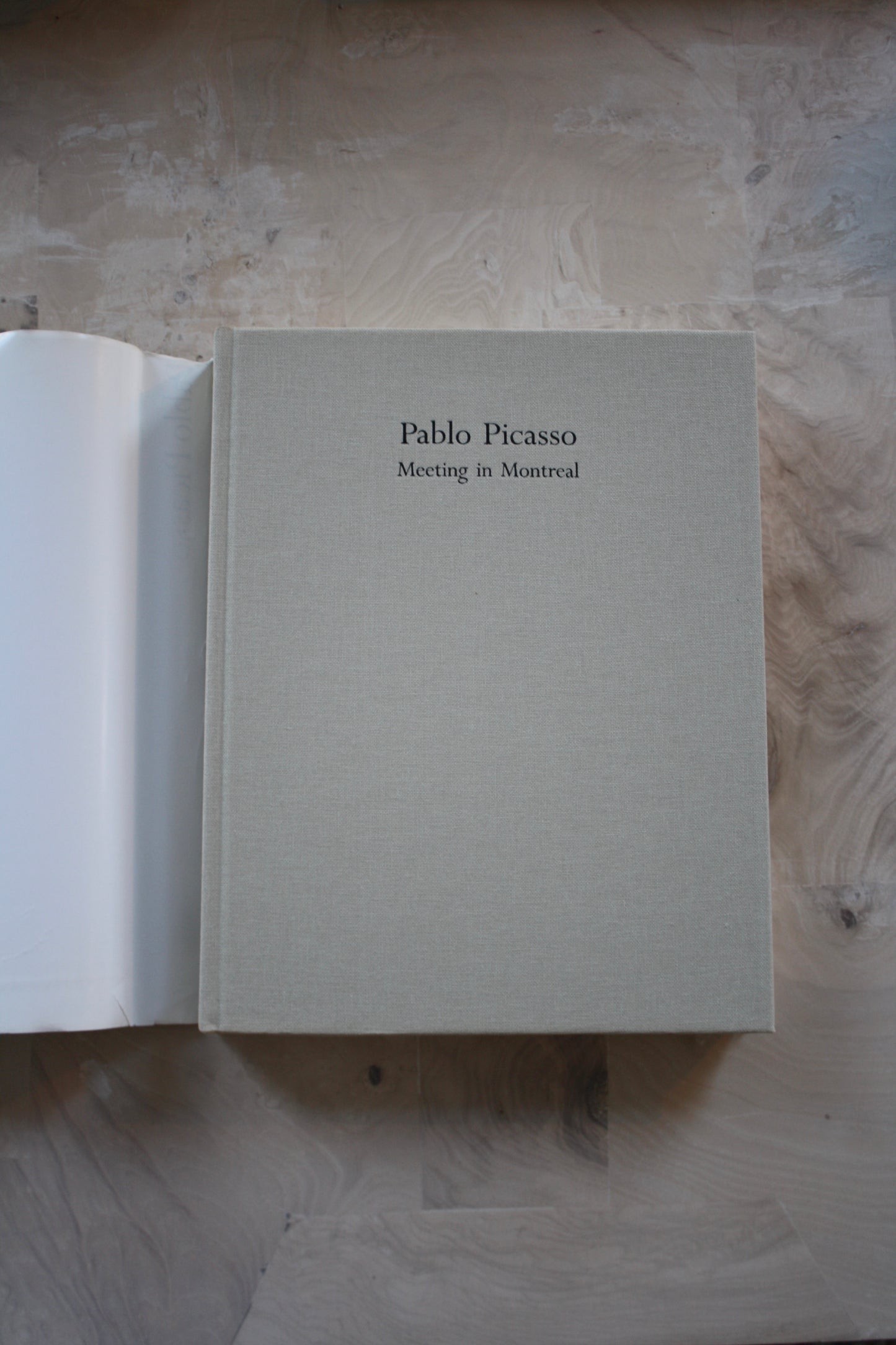 Picasso - Meeting in Montreal