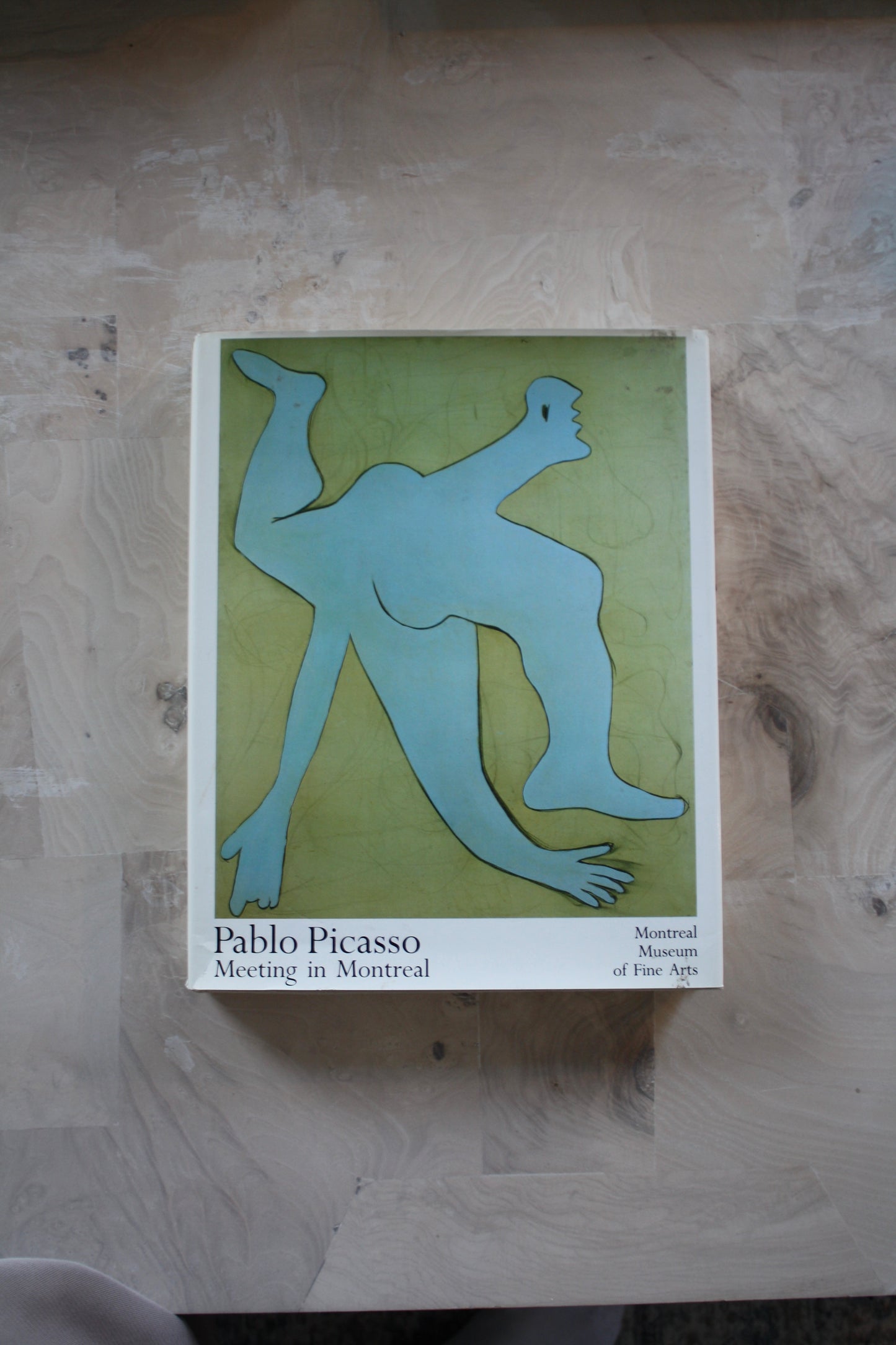 Picasso - Meeting in Montreal
