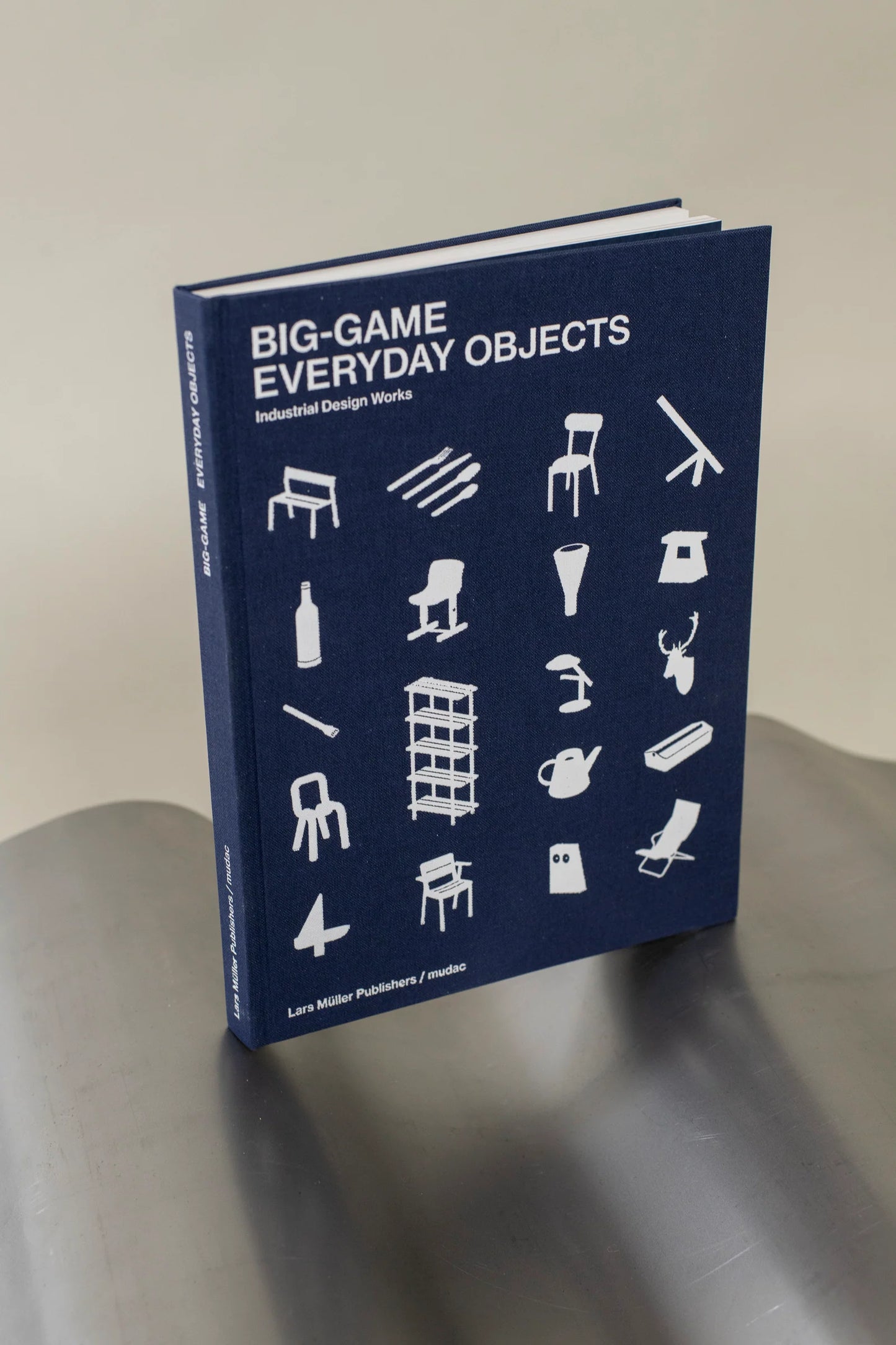 Big-Game: Everyday Objects