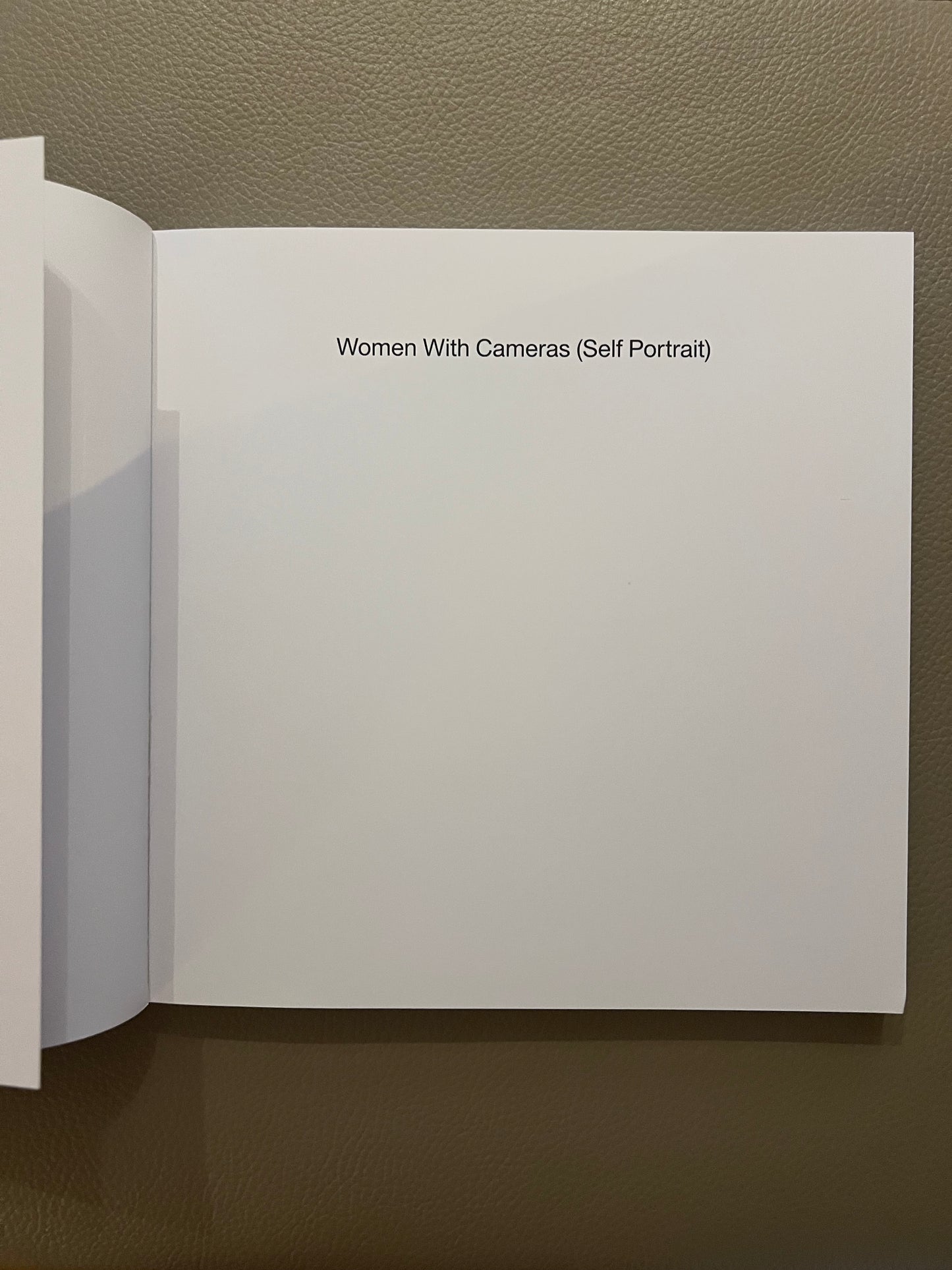 Anne Collier: Women with Cameras (Self Portrait)