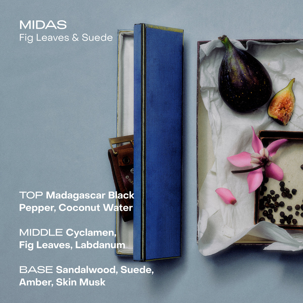 MIDAS : The cream