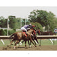 Horse Racing: Photography by Arthur Frank