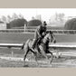 Horse Racing: Photography by Arthur Frank